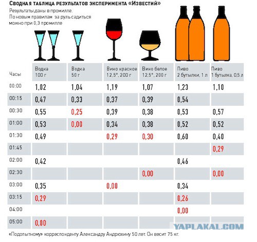 Гаишный аттракцион "А ну ка дыхни!"