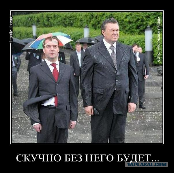 Пожабим Димона