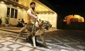 У человека свое мнение