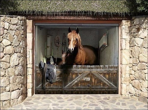 Подборка интересных и веселых картинок