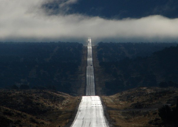 Интересные и веселые картинки