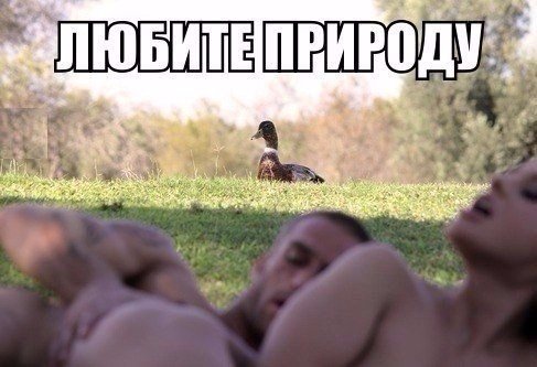 Картинки разные