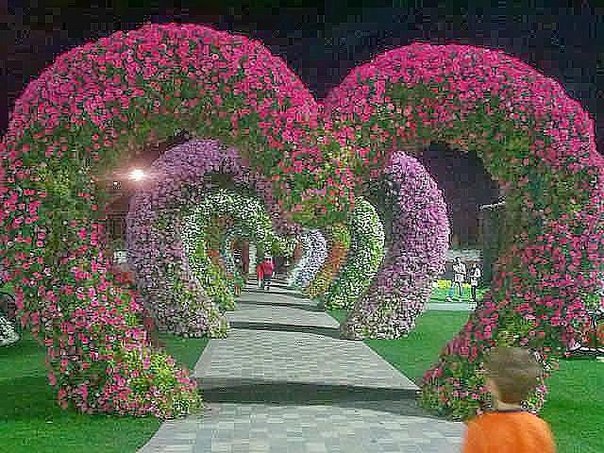 Картинки для отдыха глаз