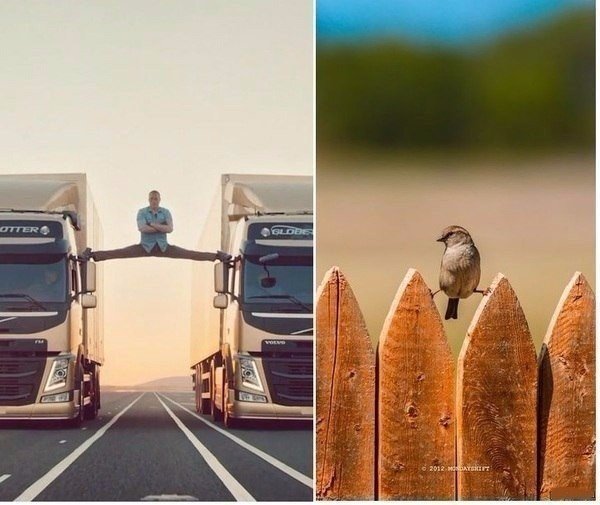 Картинки и приколы из сети