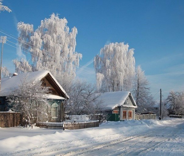 Моменты, запечатлённые на фото и просто позитив 5