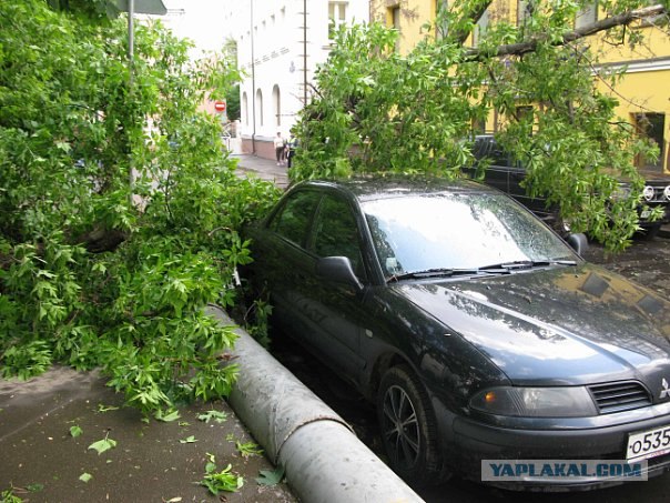 Водитель явно родился в рубашке