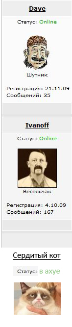 Сердитый кот