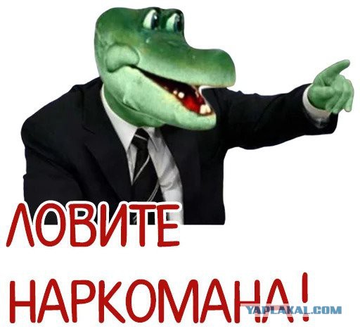 Позорящие наказания для женщин в России XIX — начала XX века