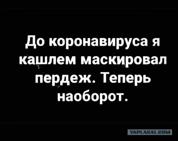Весёлый коронавирус и не только