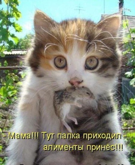Бредзона 08.05.20