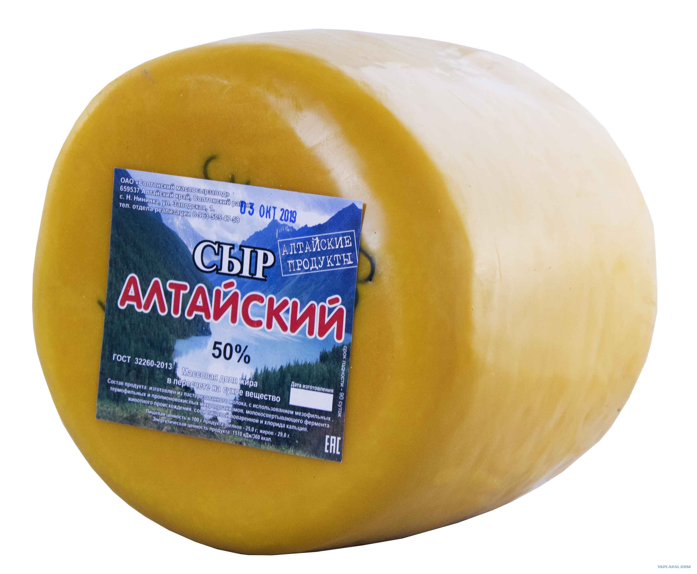 абайский сырзавод