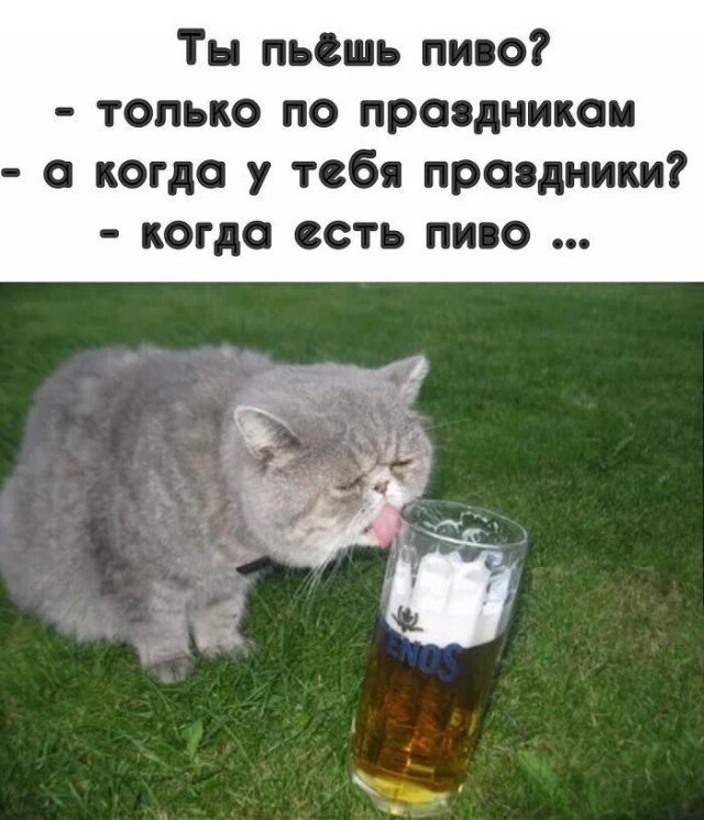Алкопост выходного дня