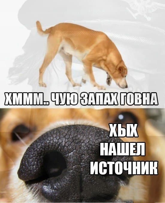 Чё мачкалоооо