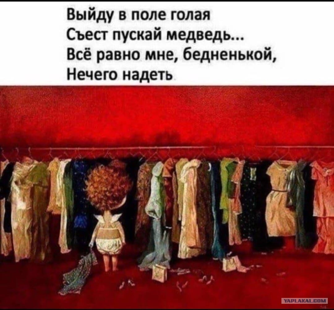 Сучка распоясалась полностью Сучка распоясалась полностью