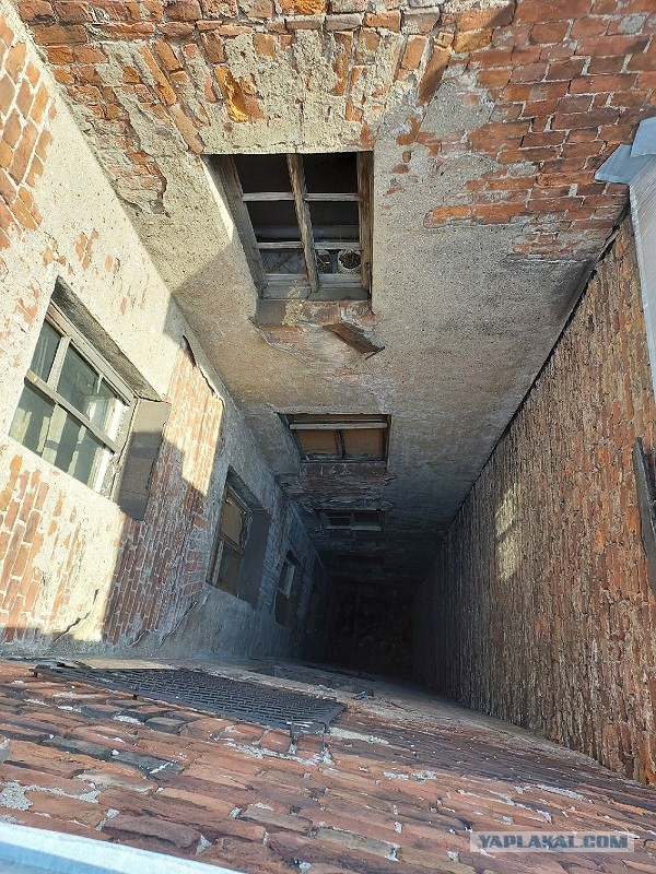 Питерский селфичат