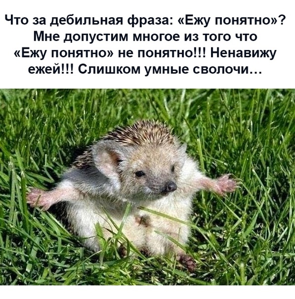 Картинки и мемы для настроения - 19