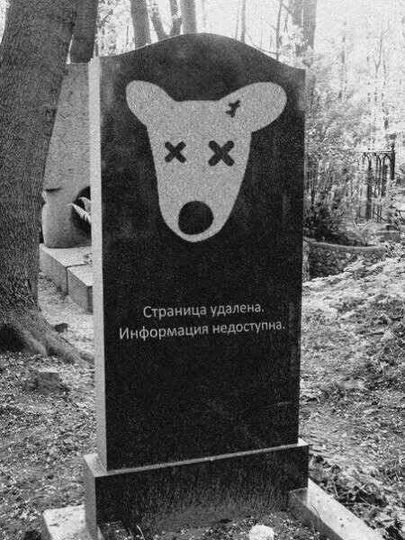 10 .jpg вам в хату