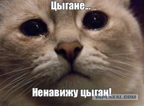 Мамонты из Фейсбука рассказали о последней афере инфоцыганки Блиновской перед задержанием