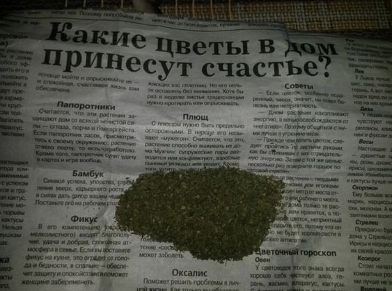 Прикольные и просто красивые картинки 12.01.2024