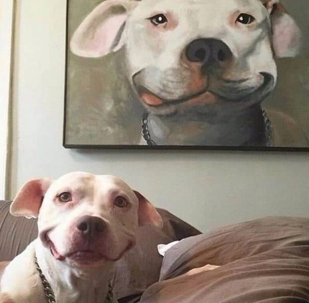 Прикольные и просто красивые картинки 17.05.2024