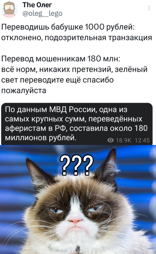 Весёлый полтишок 08.01.25