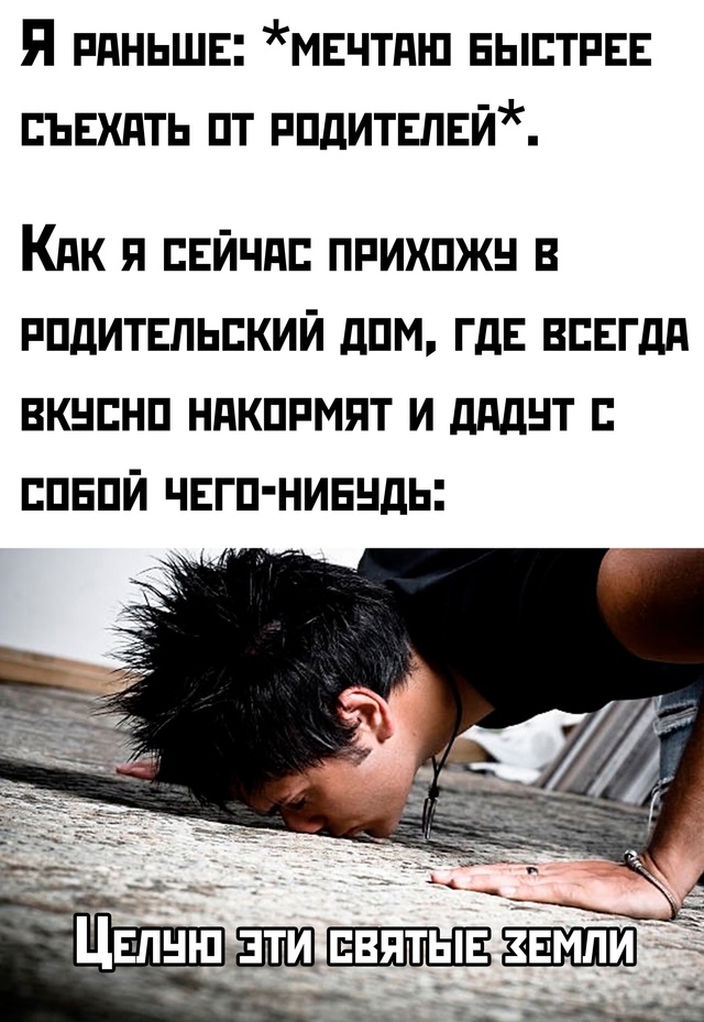 Весёлый полтишок 24.04.25