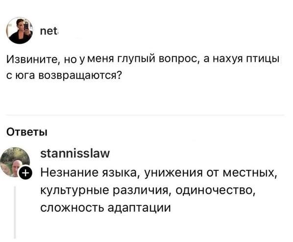 Картинки разные с надписями и без