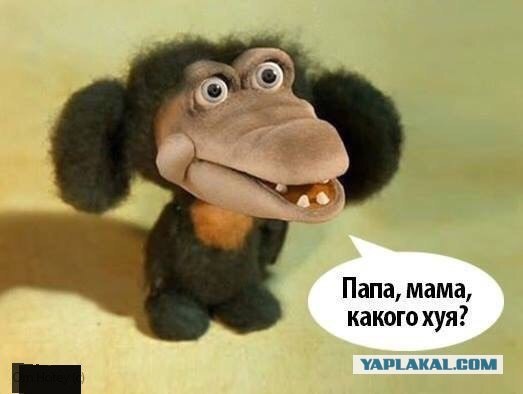 Родители из Челнов дали ребенку имя Мир-Святомир-Владимир в честь Путина