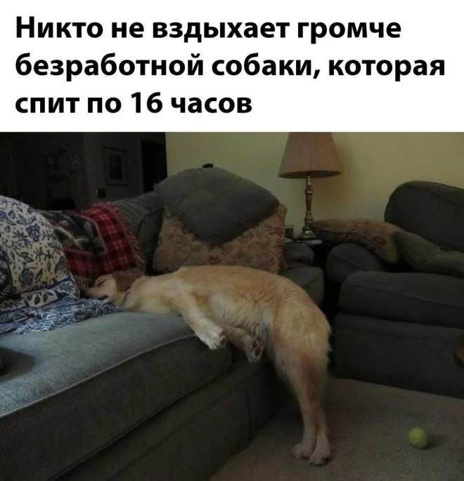20088466.webp