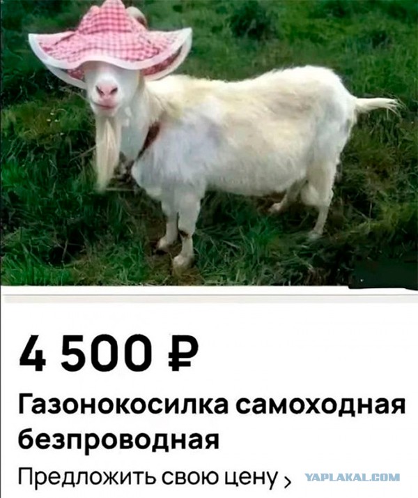 Прикольные и просто красивые картинки 06.06.2025