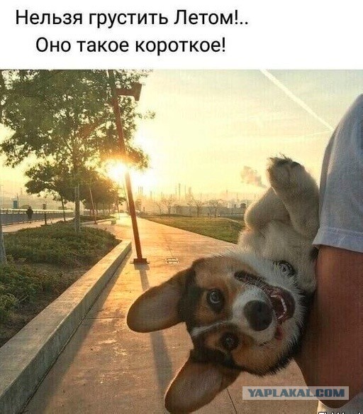 Картинки для настроения