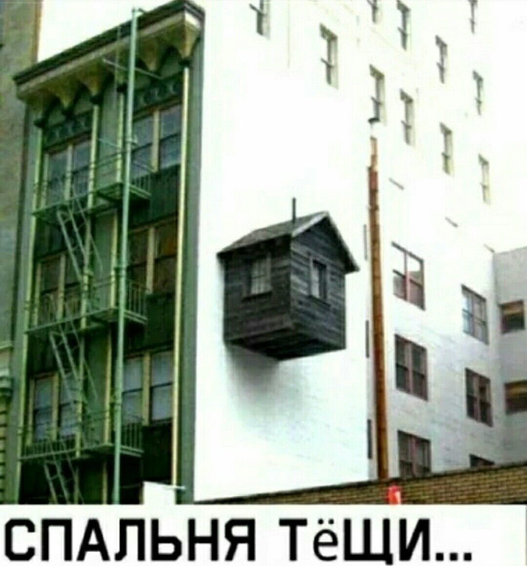 20306466.jpg