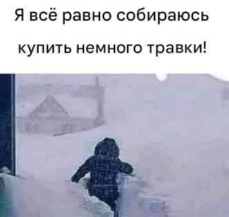 Подмосковье накрыло снежным апокалипсисом