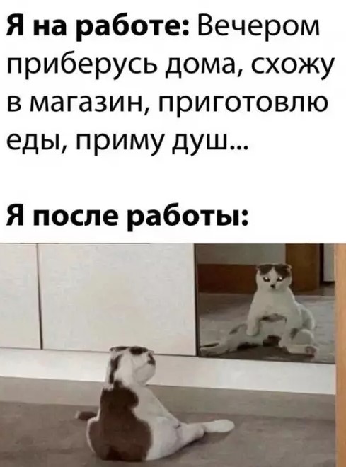 Пакет брать будете?