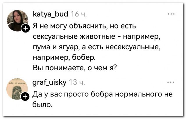 Картинки для деградации 201 (разной степени свежести)