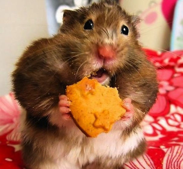 Ну у него и щёки