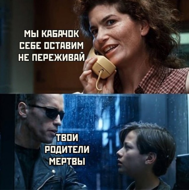 Веселые картинки в пятницу (21.08)