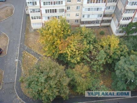 В Киеве осень. 20 фоток