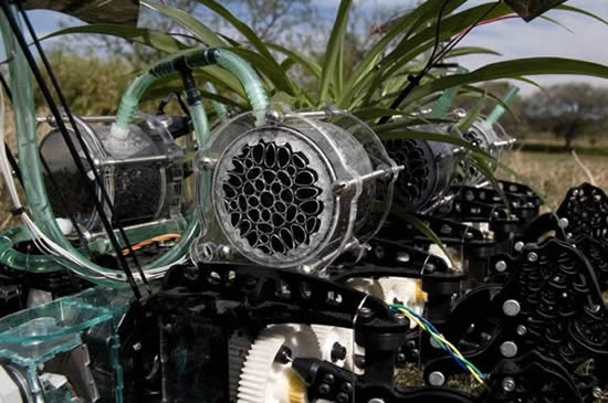 Киборг-завод