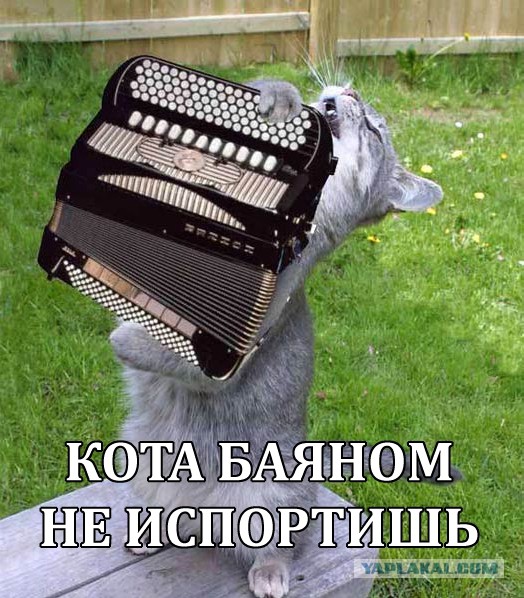 Очень удобное место и поза