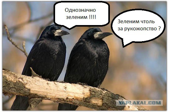 Как я запилил кормушку.