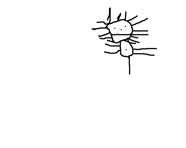 Что можно нарисовать в paint-е за полчаса...