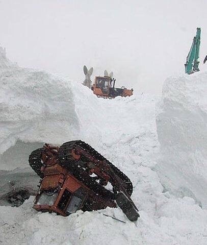 Эта пара бросила работу