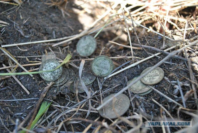 Искатели сокровищ на крымских пляжах