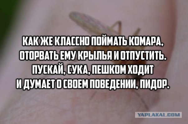 Картинки разные