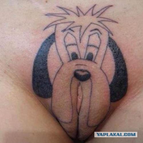 Попросил пса принести палочку