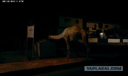 Так выглядят курорты Египта без русских туристов