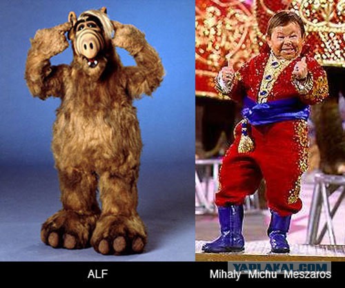 "Альф". 30 лет спустя