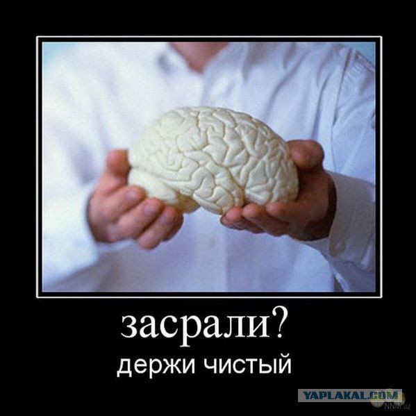 Забавные картинки из Сети