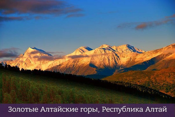 Интересные и веселые картинки